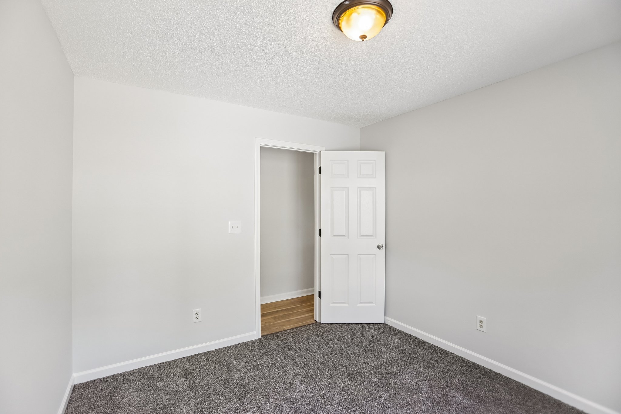 Gina Ct-S2404-014.jpg