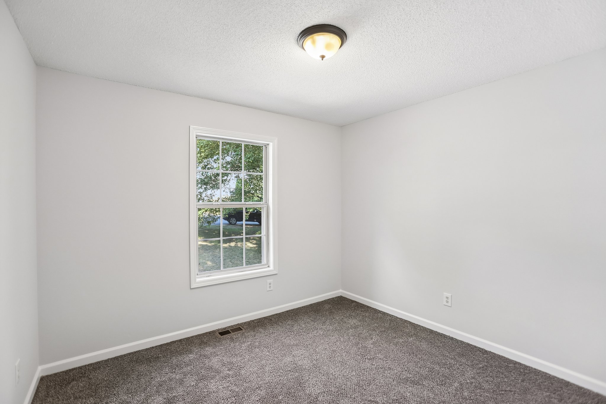 Gina Ct-S2404-015.jpg