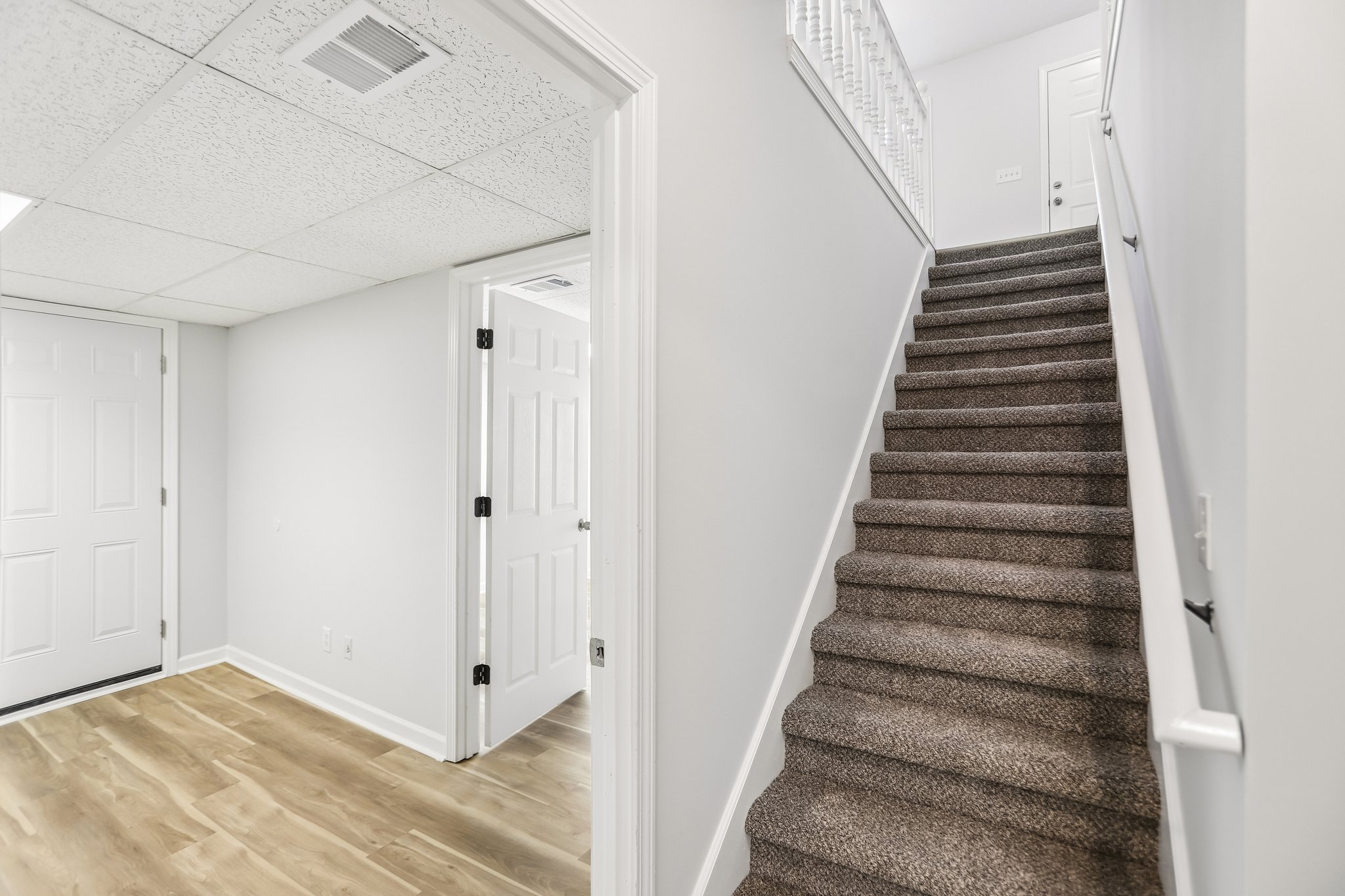 Gina Ct-S2404-022.jpg