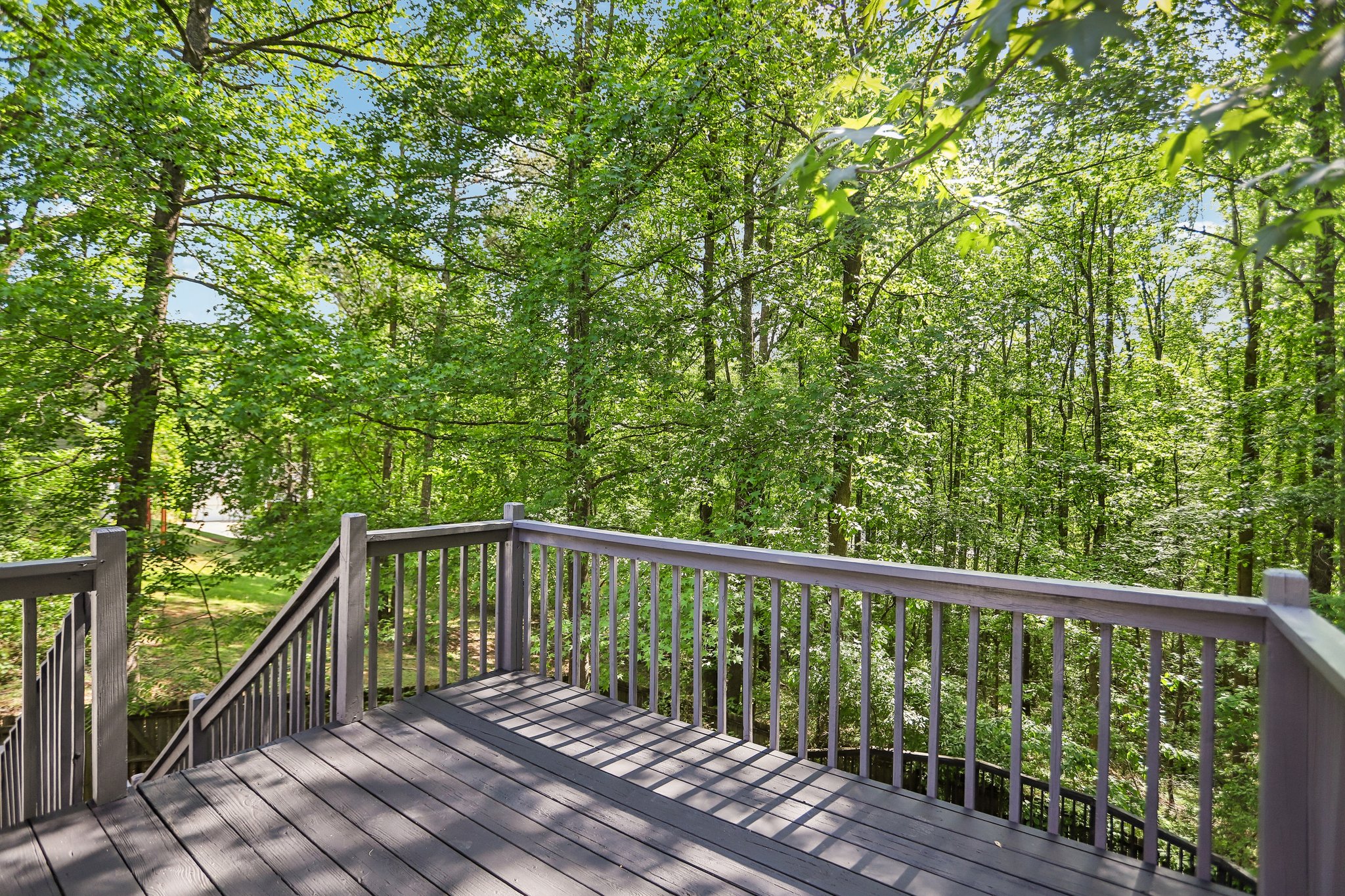 Gina Ct-S2404-031.jpg