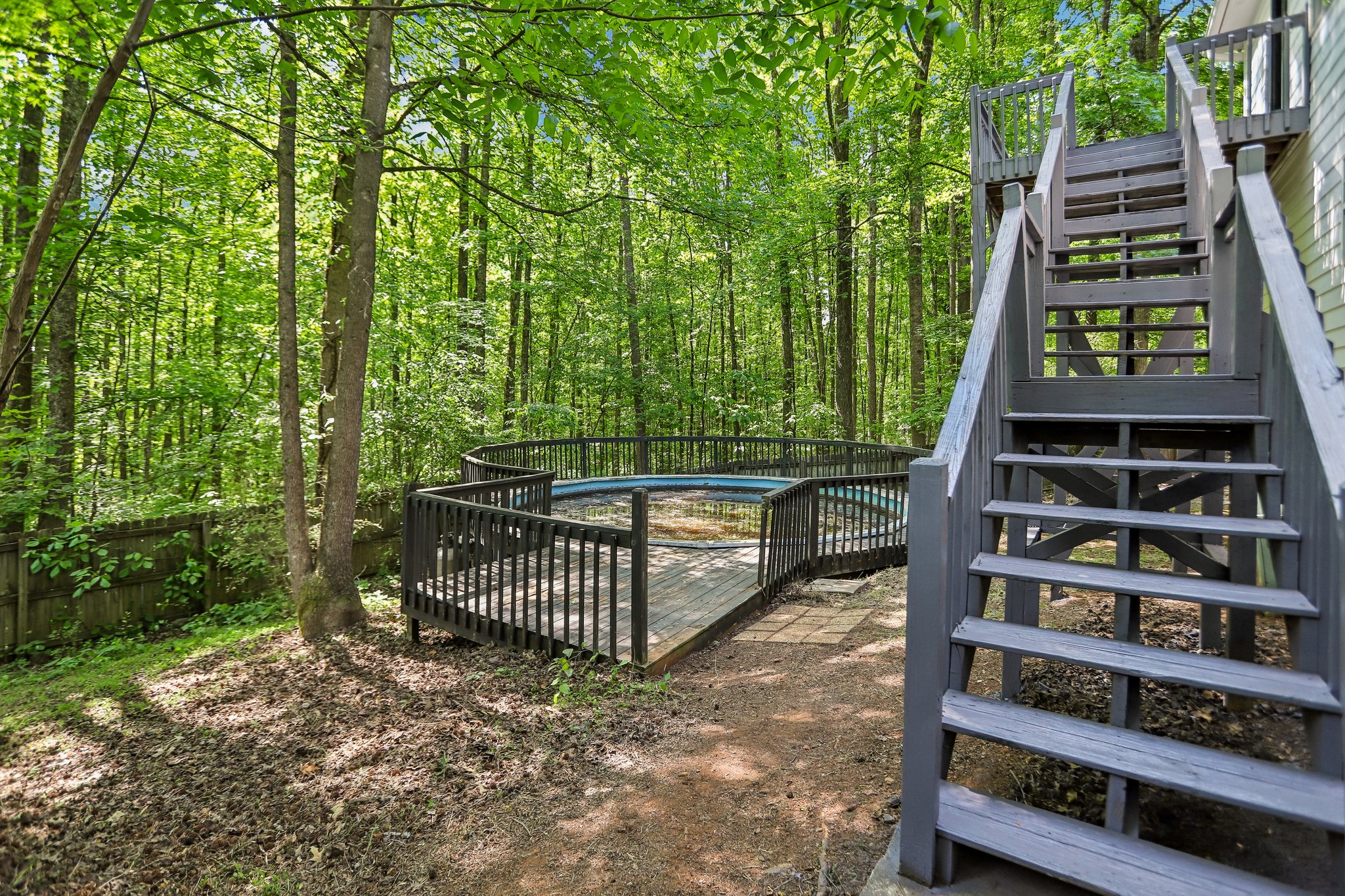 Gina Ct-S2404-033.jpg