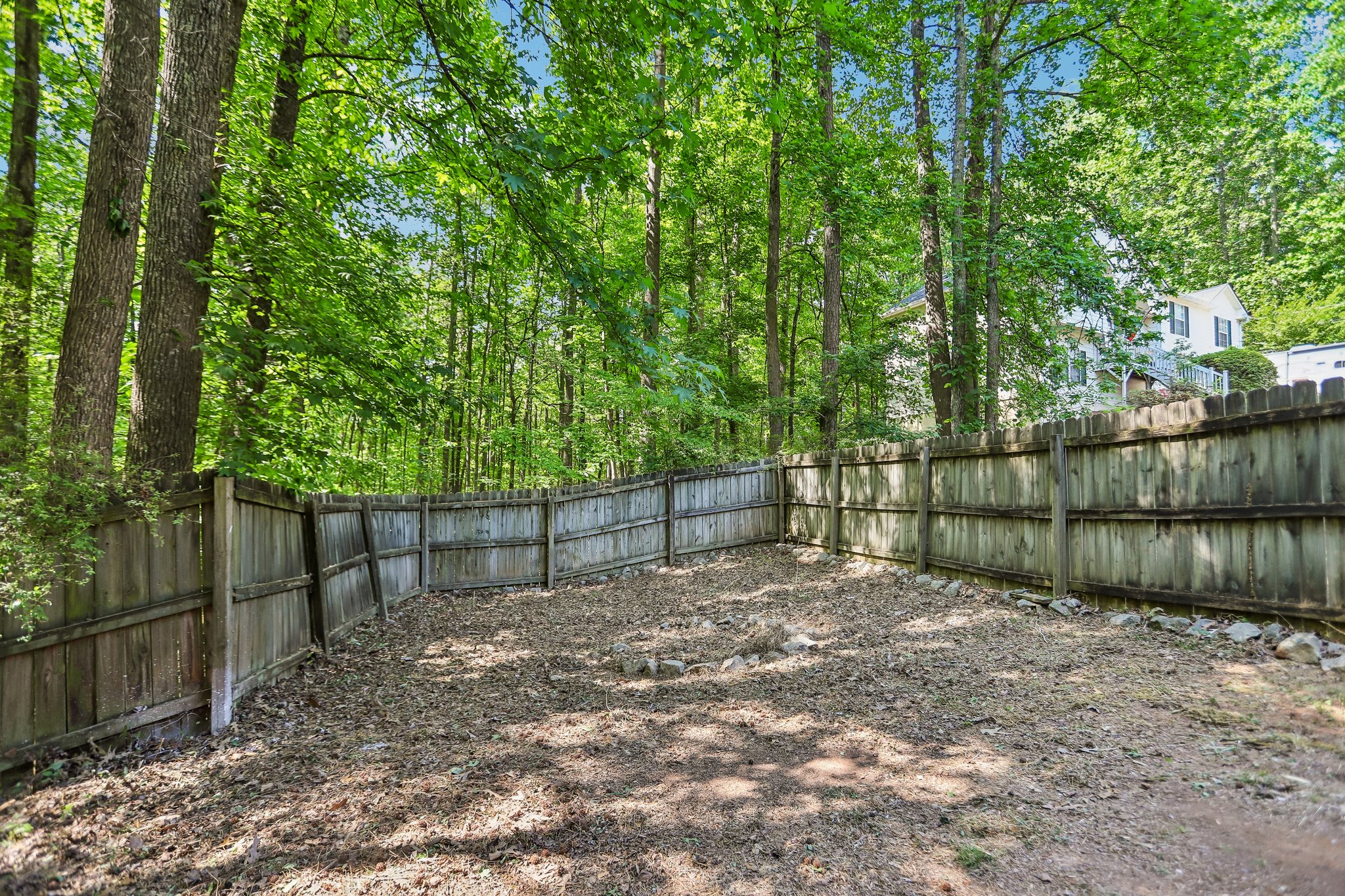 Gina Ct-S2404-035.jpg