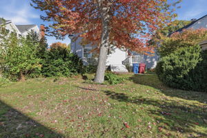  Photo 37
