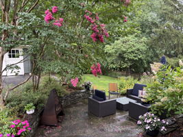  Photo 45