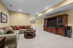 Lower level great room