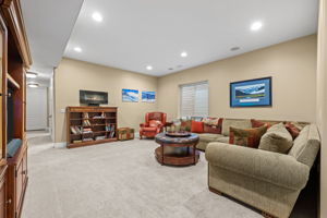 Lower level great room
