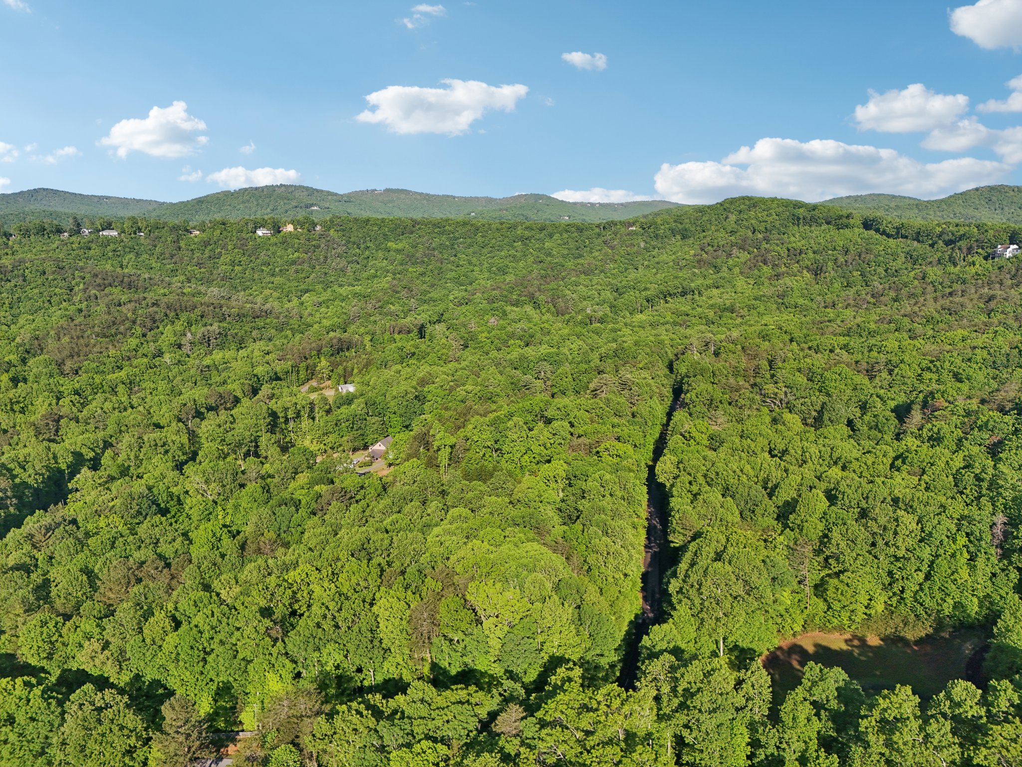 Smith Cir-1005-016.jpg