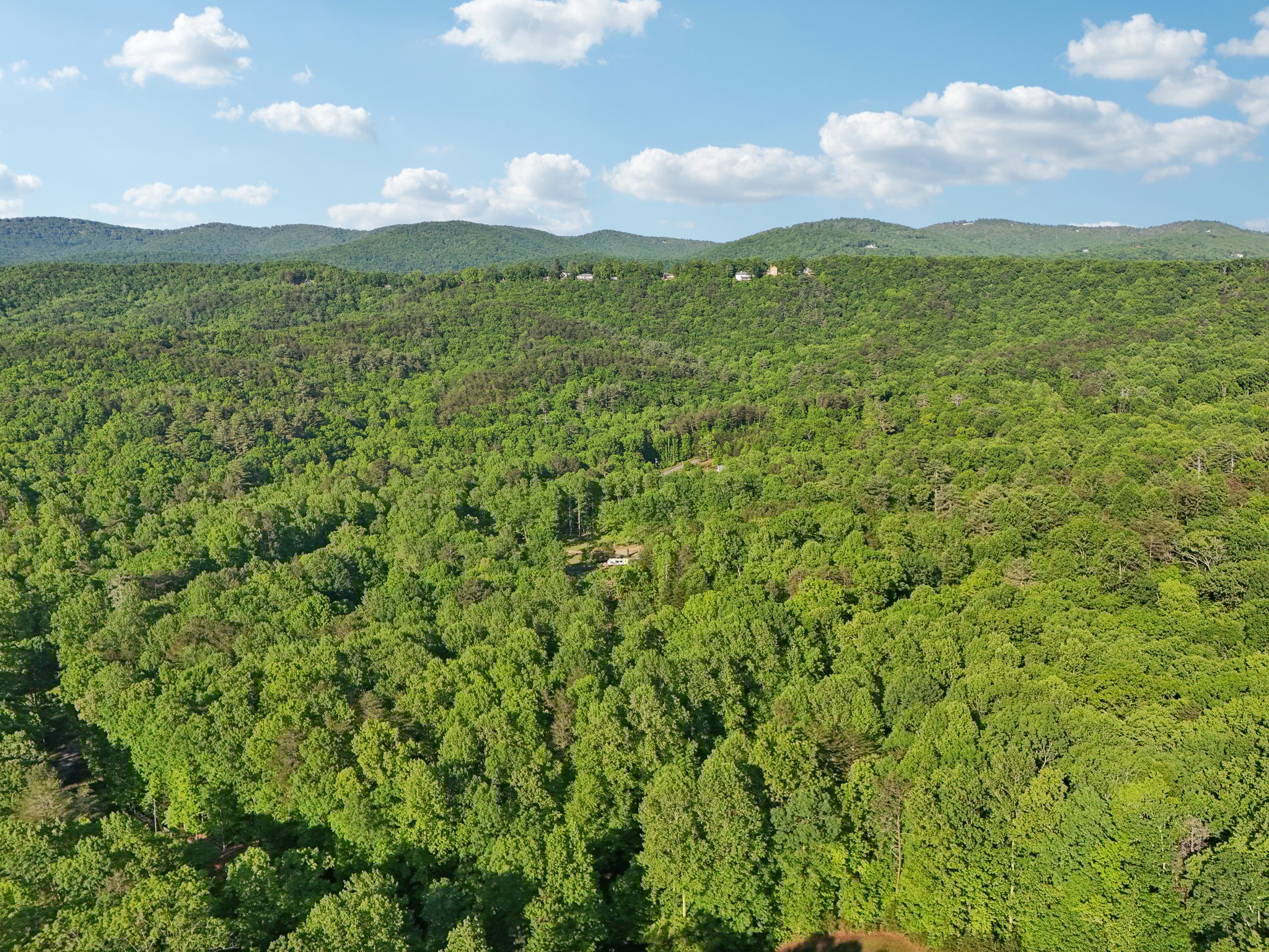 Smith Cir-1005-017.jpg