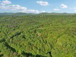 Smith Cir-1005-005.jpg