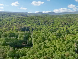 Smith Cir-1005-008.jpg