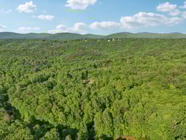 Smith Cir-1005-017.jpg