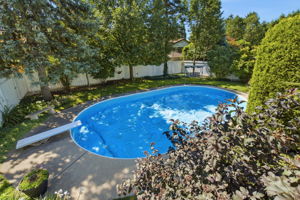  Photo 39