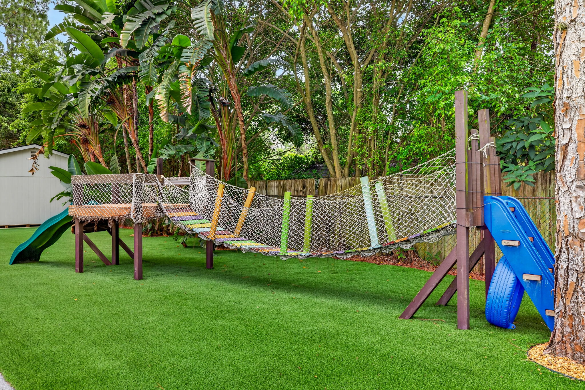 Backyard 9