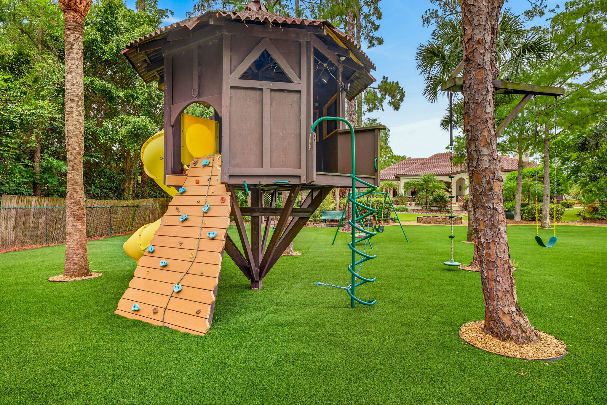 Backyard 10