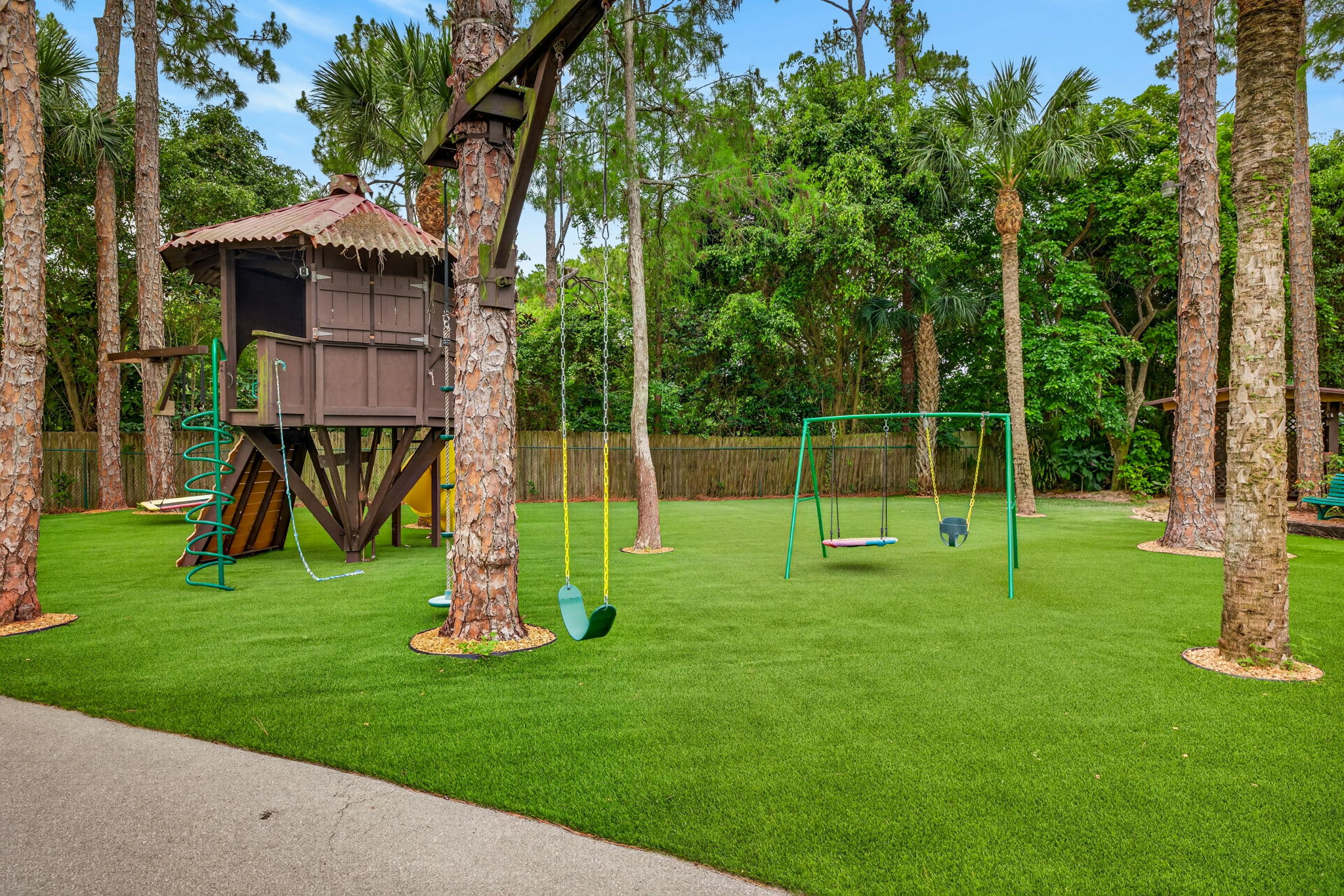 Backyard 11