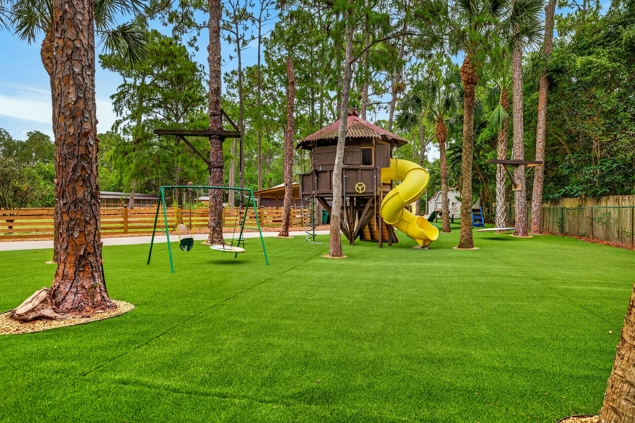 Backyard 13