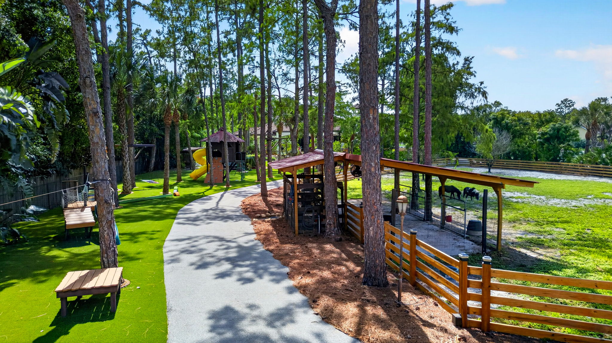 Aerial Backyard 5