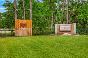Backyard 1