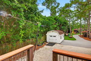 Backyard 3