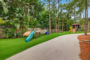 Backyard 6