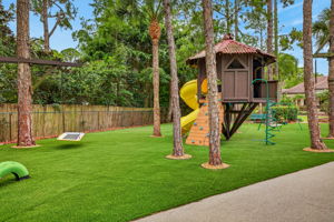 Backyard 8