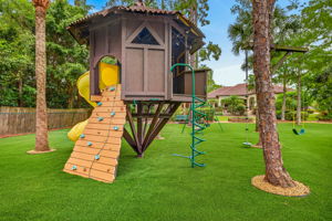 Backyard 10