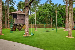 Backyard 11
