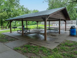  Photo 44