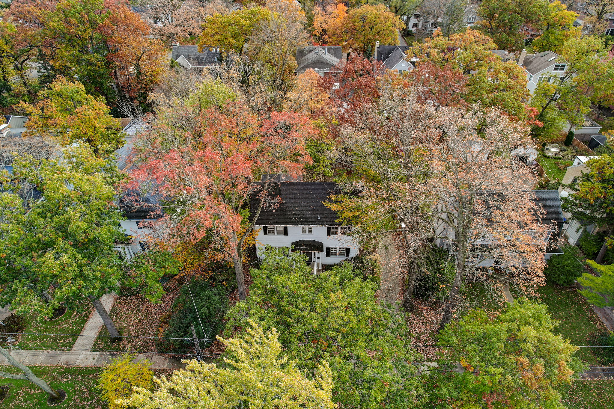 Oakdale Ave-017