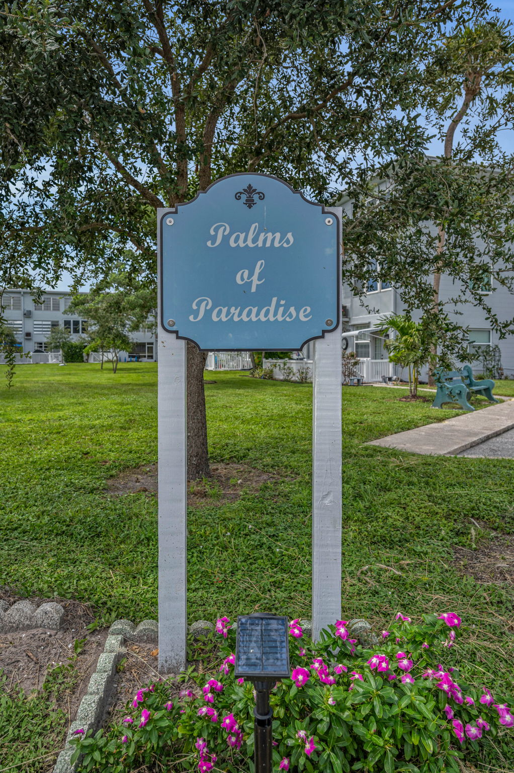 Palms of Paradise