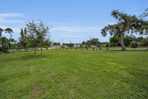 Backyard1