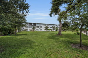 Backyard2