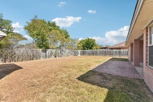 Adobe Dr-039.jpg