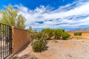 Fenced backyard/gate