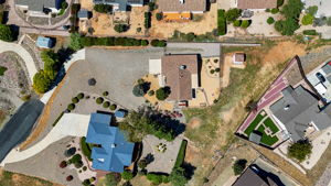 Birds Eye