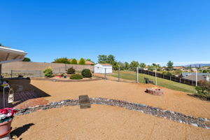 Backyard (1)