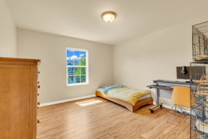  Photo 49