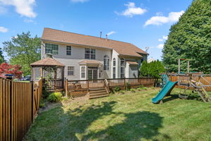 Rear Yard