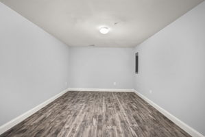 Lower Level Flex Space