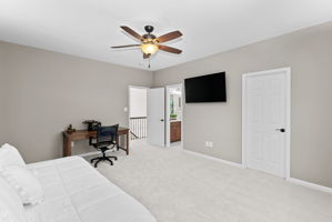  Photo 42