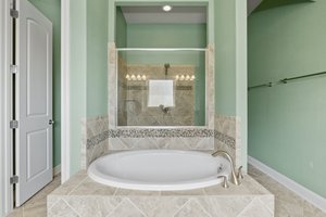 The primary bathroom soaking tub and shower.