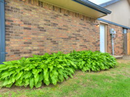  Photo 51