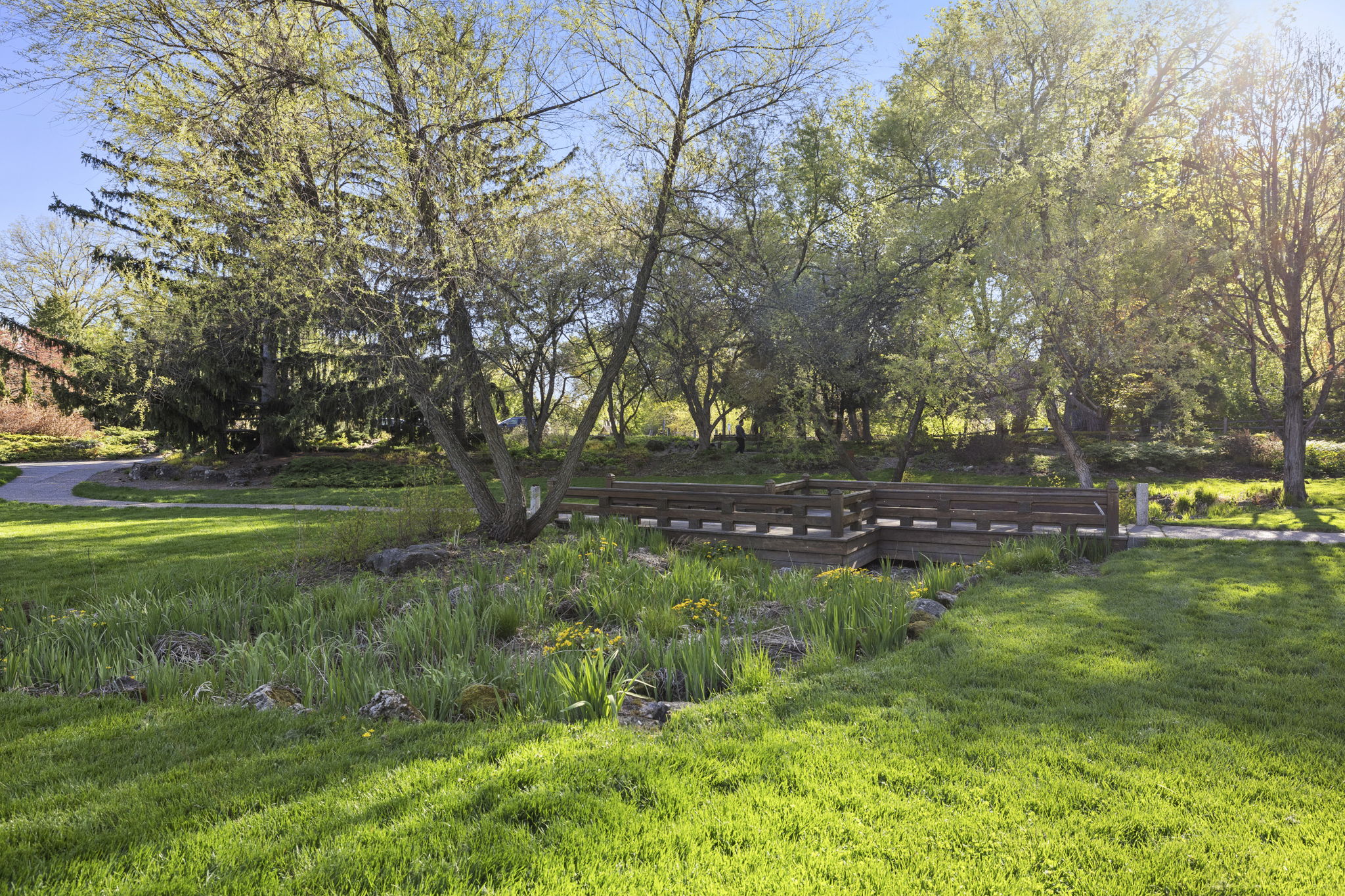 Photo 48