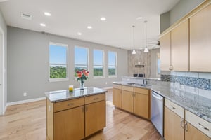 Vista Verde Dr-L1510-010.jpg
