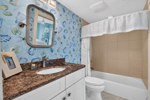 Guest Bathroom 3
