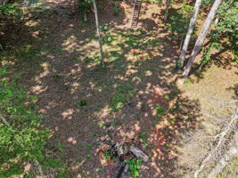  Photo 47
