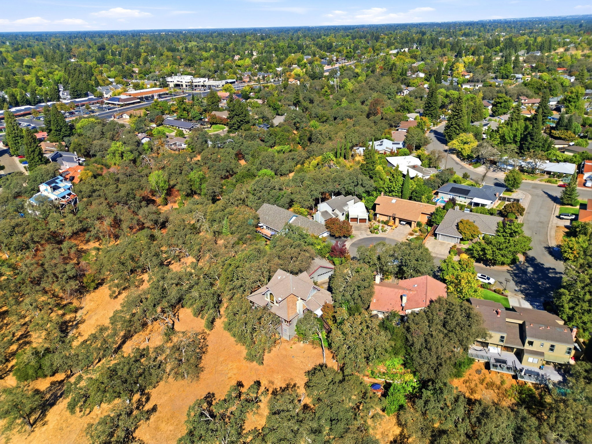011_F8_AERIAL_4310 Palacio Way