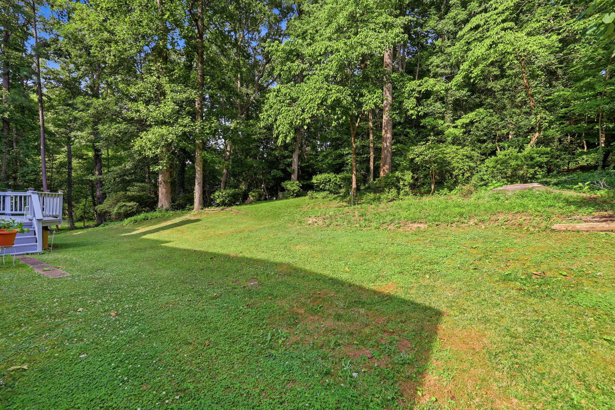  Photo 45