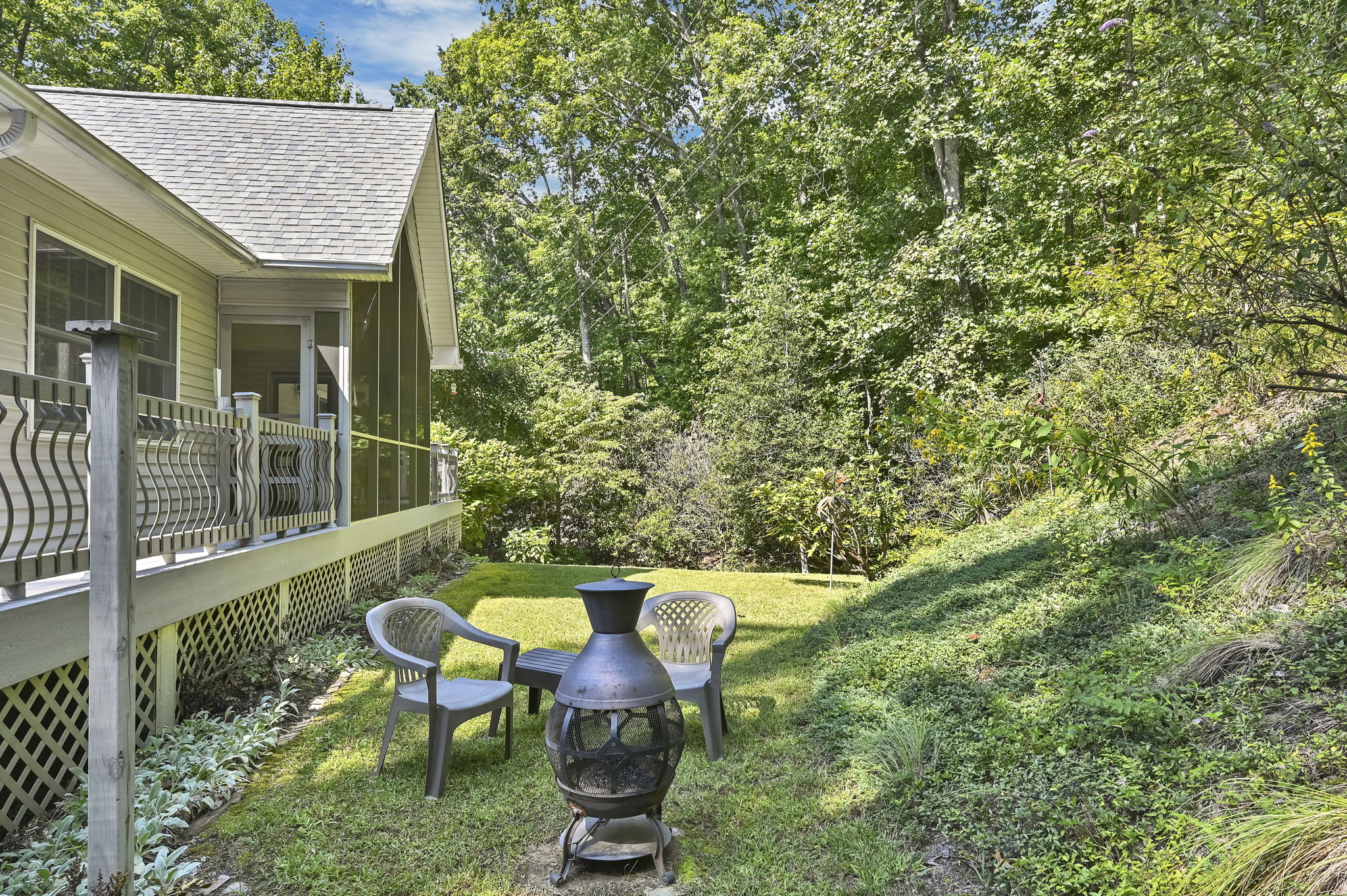Back Yard