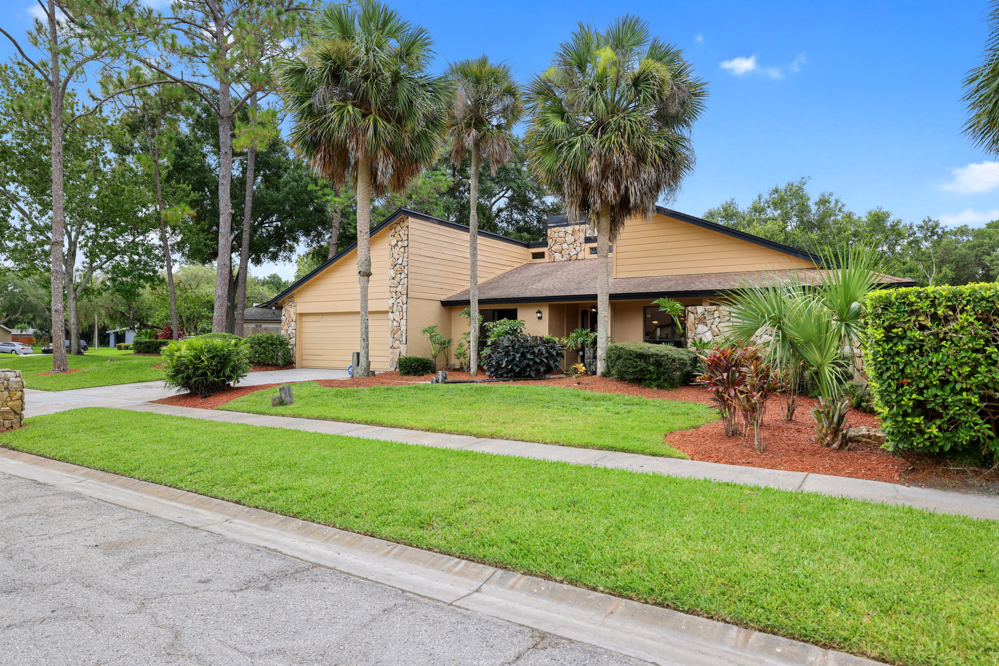 Front - 495A2022 (1)